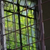K5IM0031_Resize
