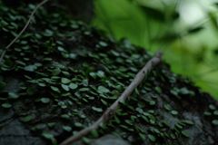 20070513_4318_Resize