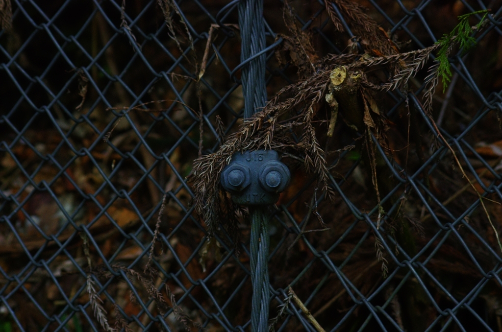 K5IM0511_Resize