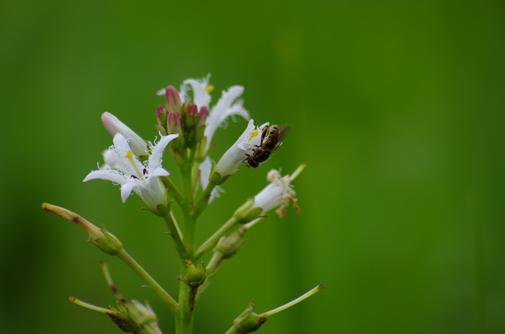 K5IM9588_Resize