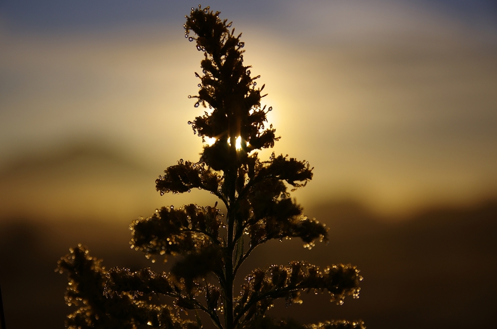 K5IM3348_Resize