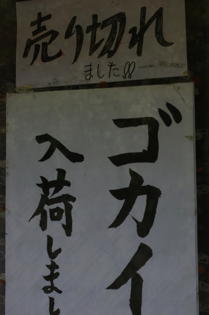 K5IM6859_R