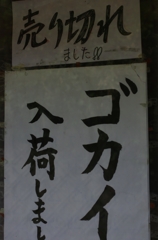 K5IM6859_R
