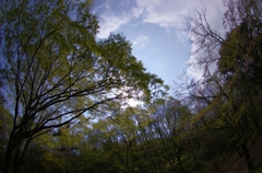 K5IM9551_Resize
