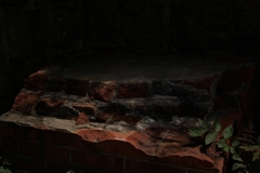 IMGP8317_Resize