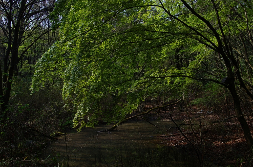 K5IM9532_Resize