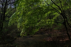 K5IM9532_Resize