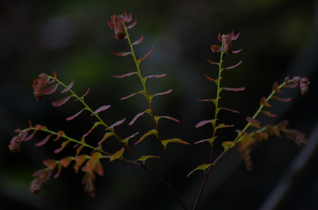 K5IM0171_Resize