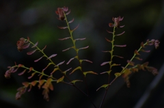 K5IM0171_Resize