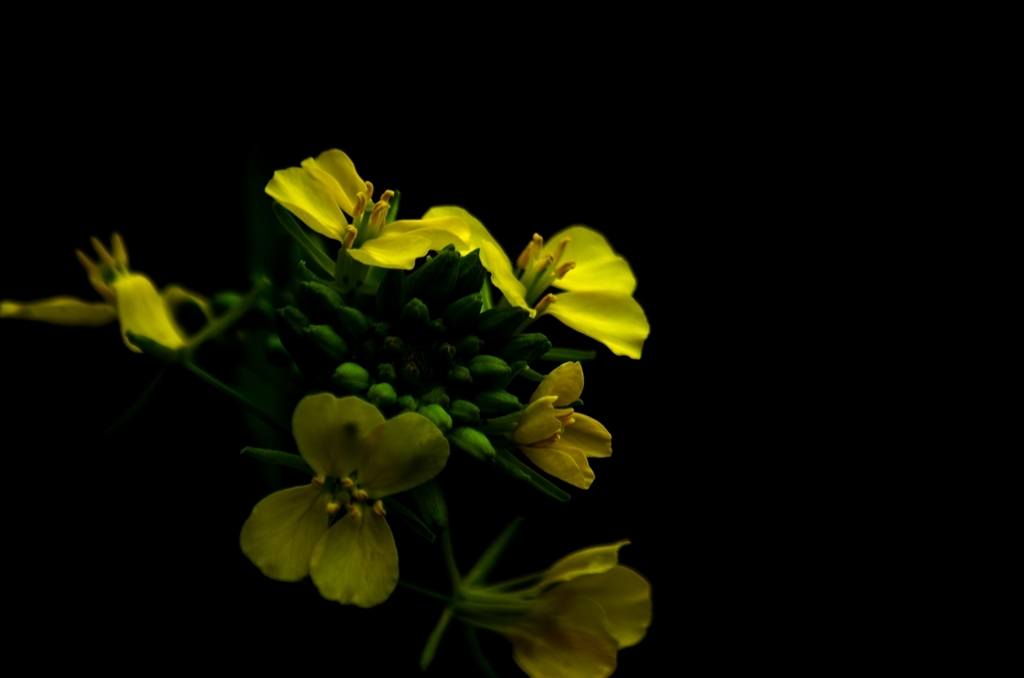 K5IM9566_Resize