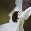 K5IM9821_Resize