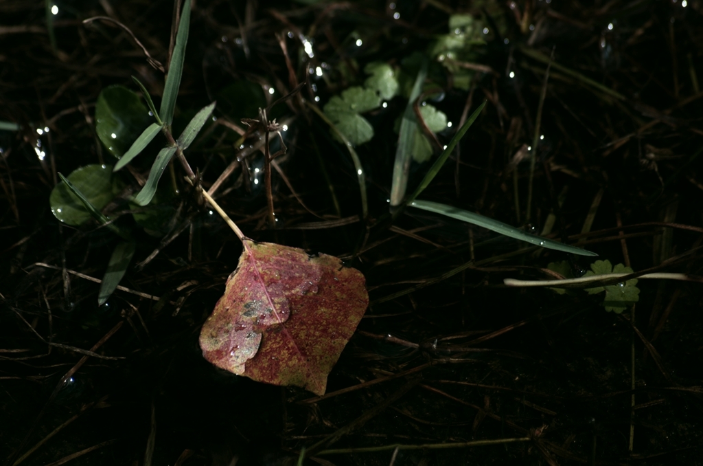 K5IM3774_Resize