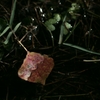 K5IM3774_Resize