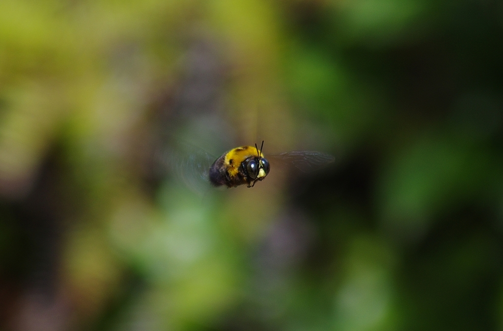 K5IM9806_Resize