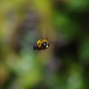 K5IM9806_Resize