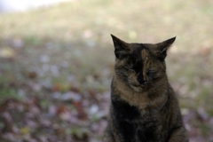 __IGP6238_Resize