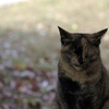 __IGP6238_Resize