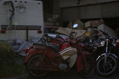IMGP8224_Resize