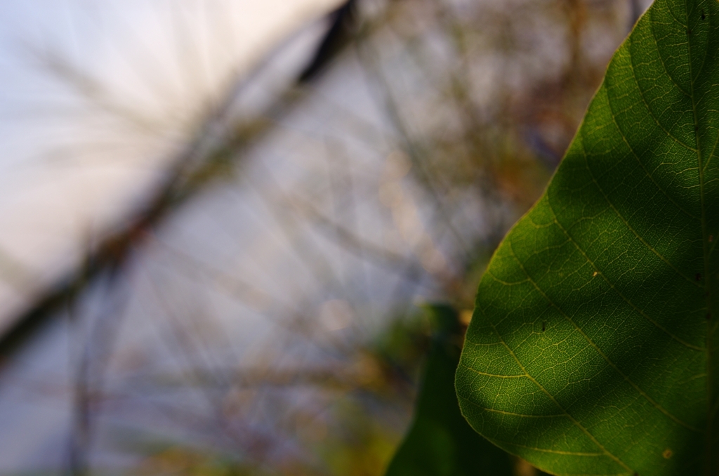 K5IM2886_Resize