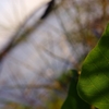 K5IM2886_Resize