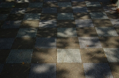 K5IM2587_Resize