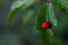 K5IM3499_Resize