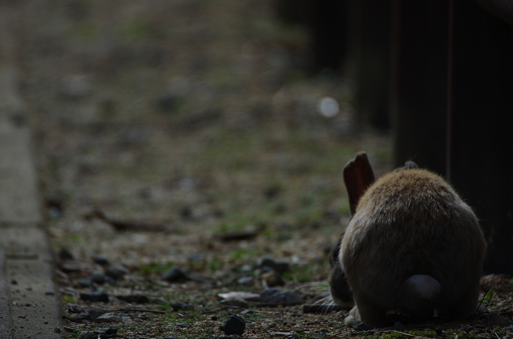 K5IM9750_Resize