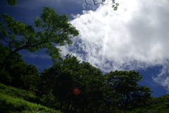 IMGP6261