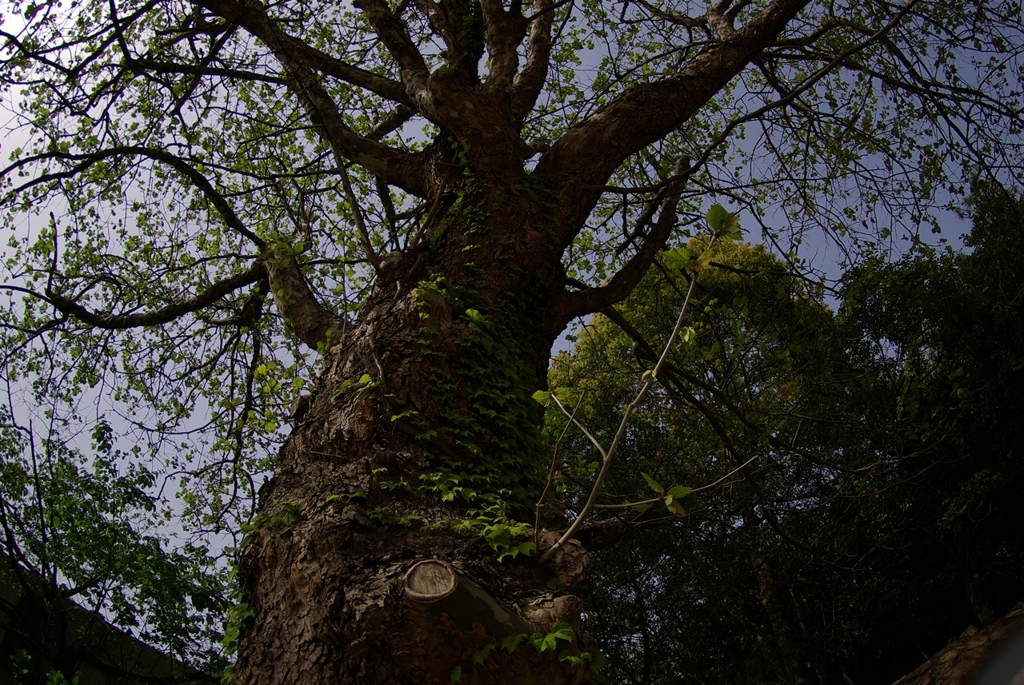 IMGP8354_Resize