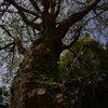 IMGP8354_Resize