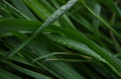 K5IM9580_Resize
