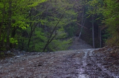 K5IM0214_Resize