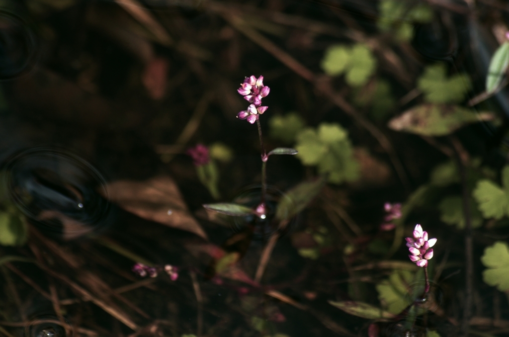 K5IM3770_Resize