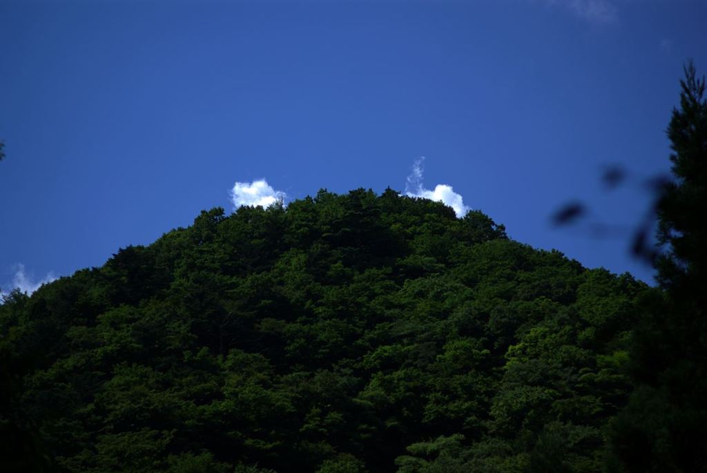 IMGP2908_Resize