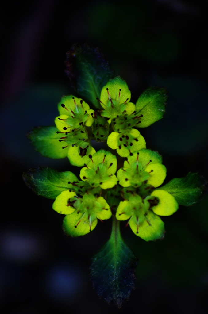 K5IM0282_Resize