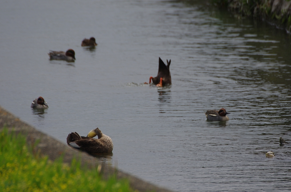 K5IM9387_Resize