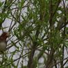 13501_Resize