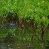 K5IM9592_Resize
