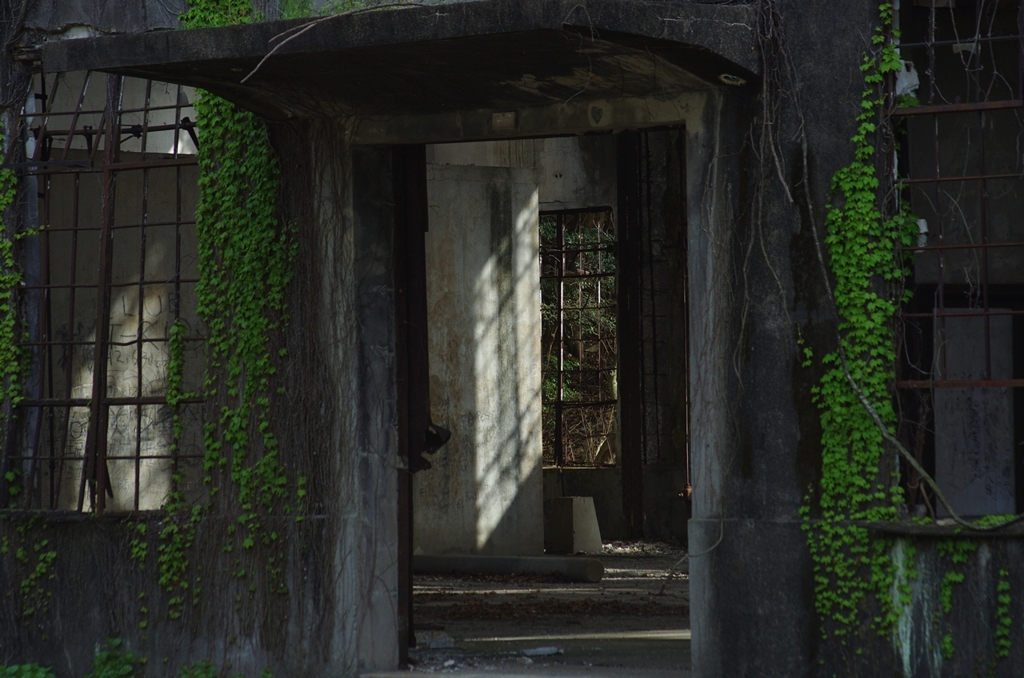 K5IM0063_Resize
