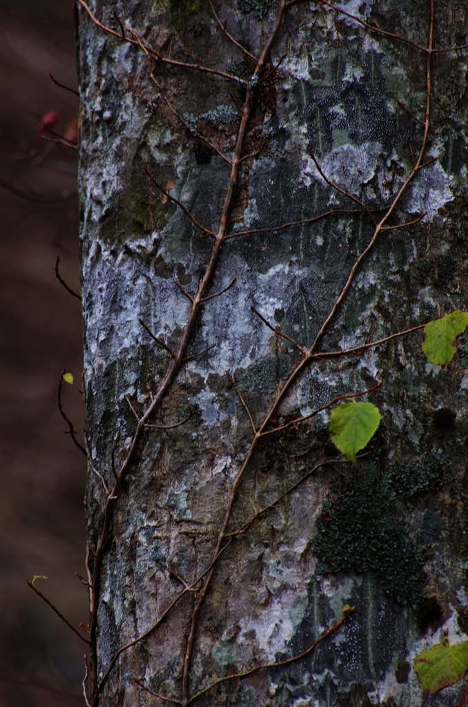 K5IM3085_Resize