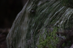 K5IM0310_Resize