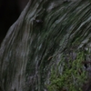 K5IM0310_Resize