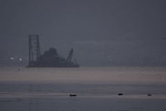 __IGP0183_Resize