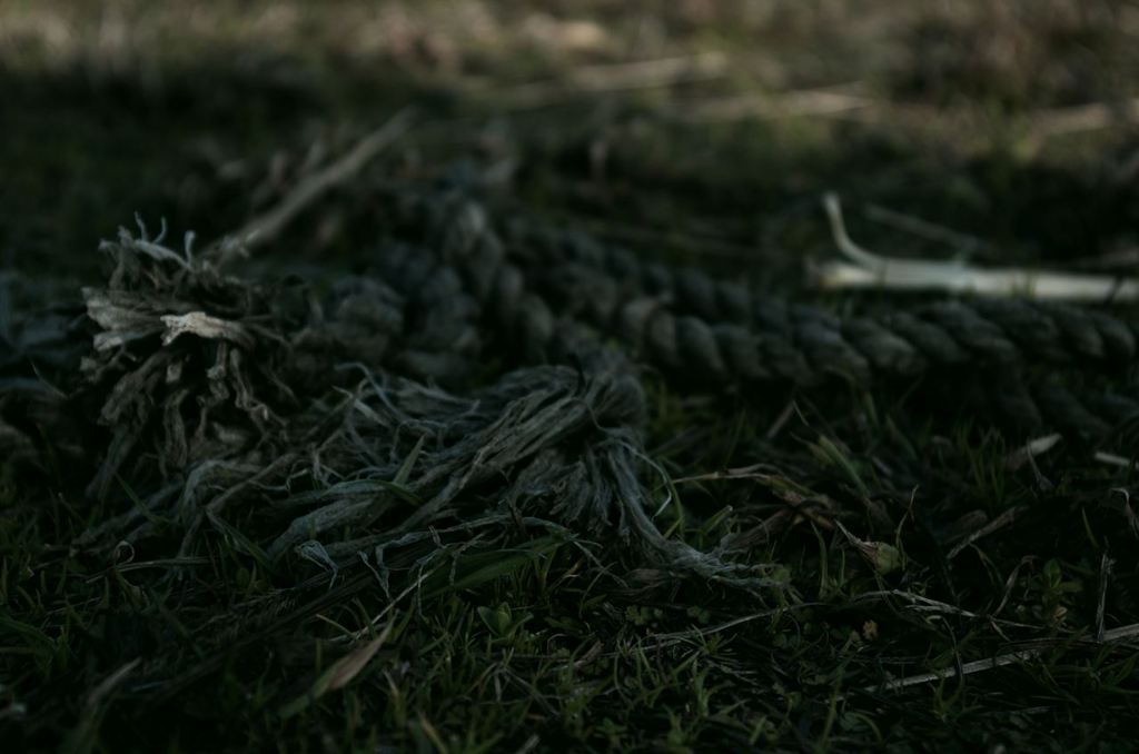 K5IM8706_Resize