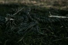 K5IM8706_Resize