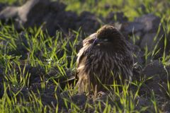 __IGP7254_Resize