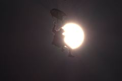 _IGP5331_Resize