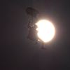 _IGP5331_Resize