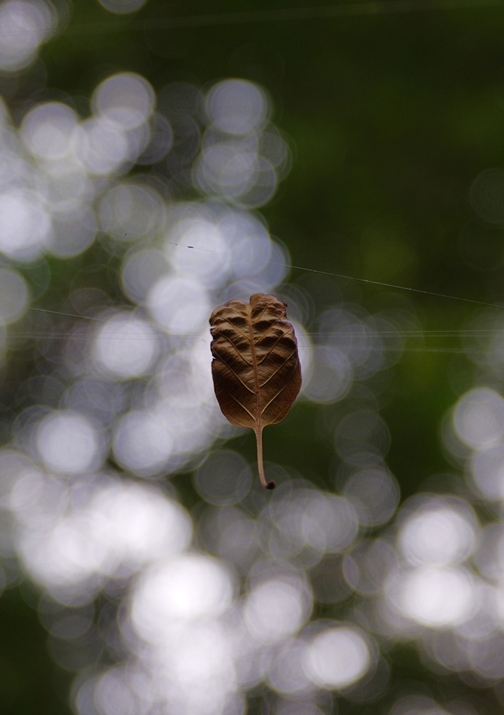 K5IM3427t_Resize
