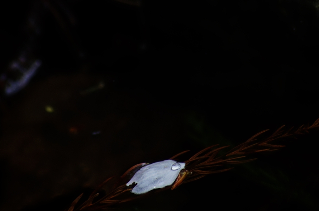K5IM0238_Resize